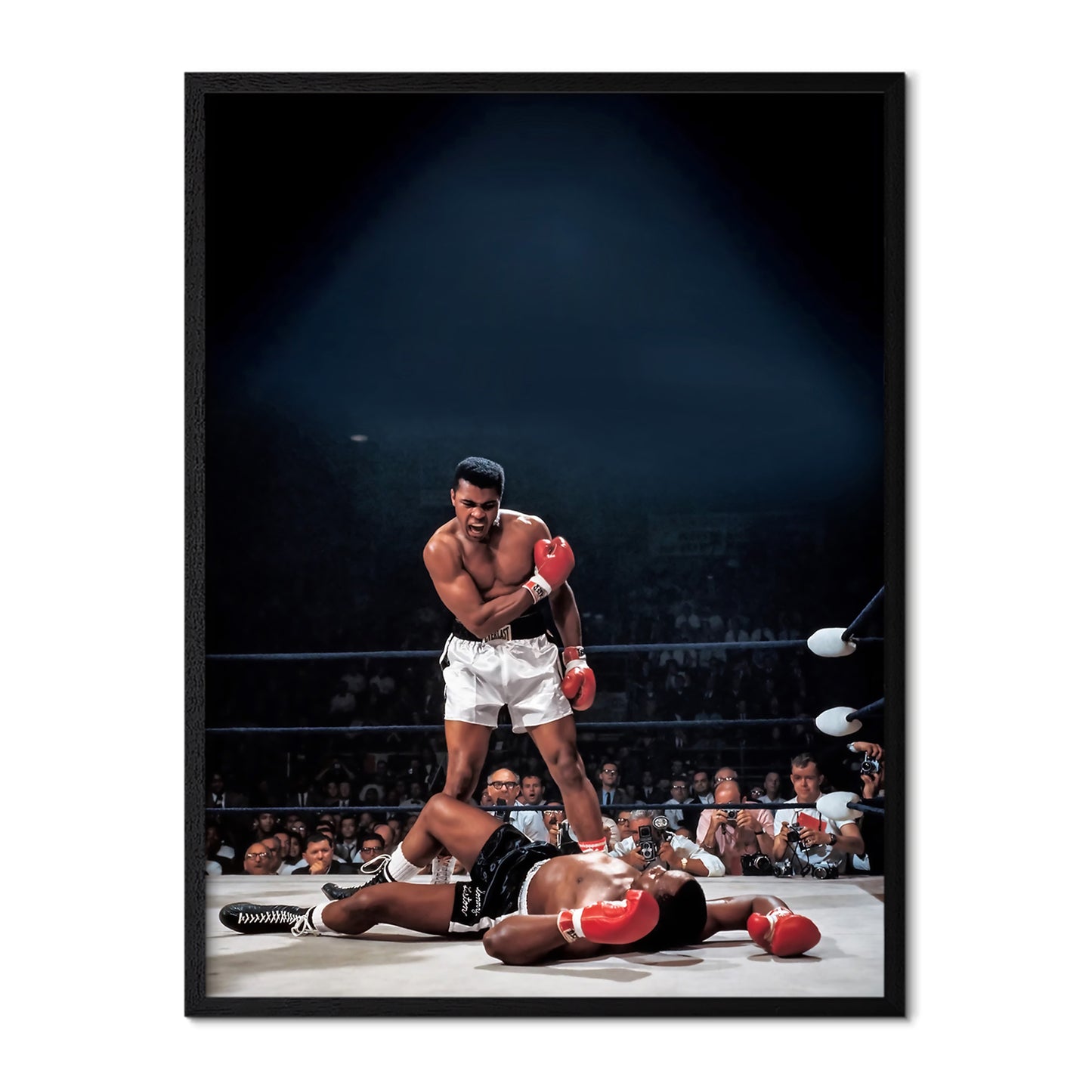 Iconic Boxing Knockout Poster