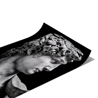 David Statue Poster