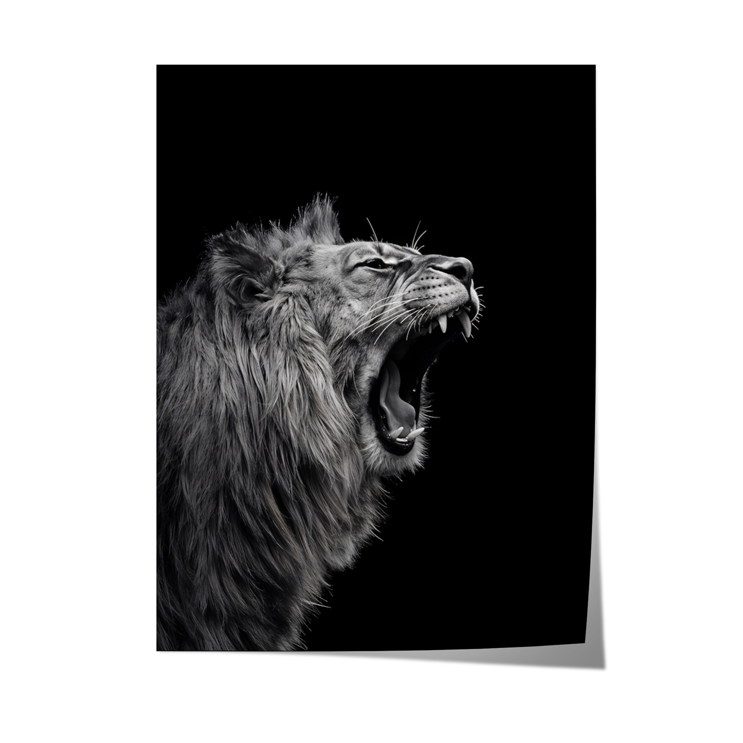 Lion Poster