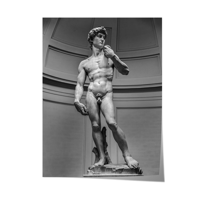 Michelangelo’s - David Poster