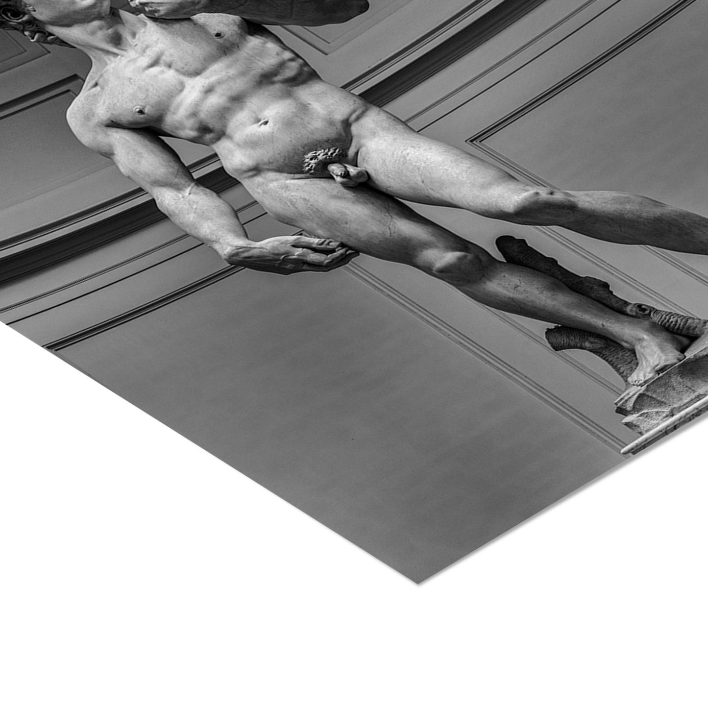 Michelangelo’s - David Poster