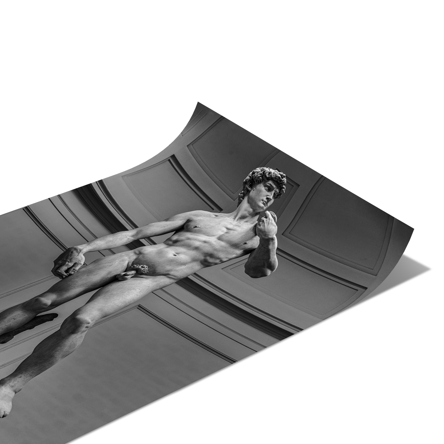 Michelangelo’s - David Poster