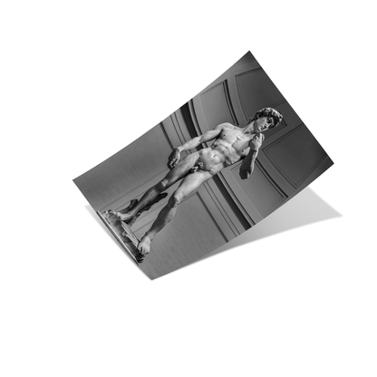 Michelangelo’s - David Poster