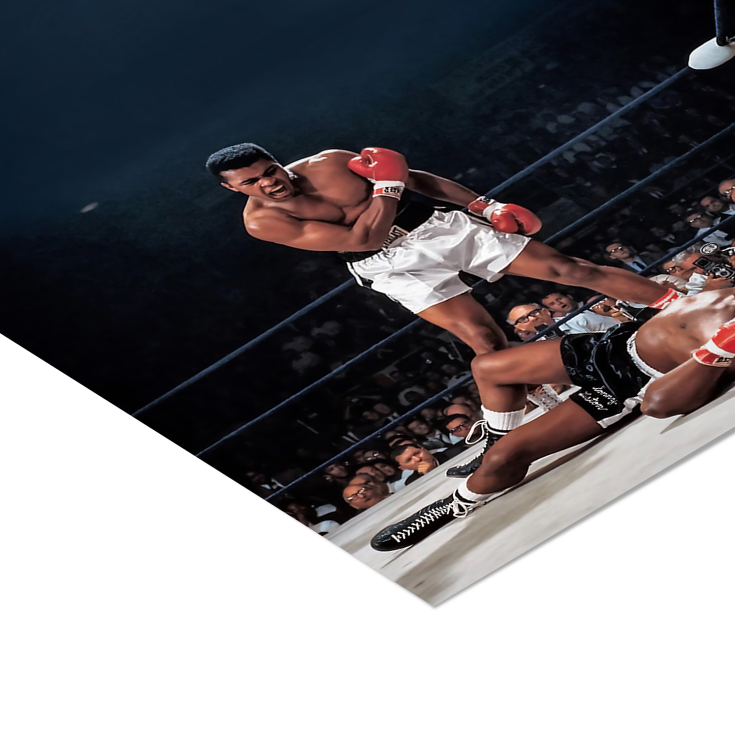 Iconic Boxing Knockout Poster