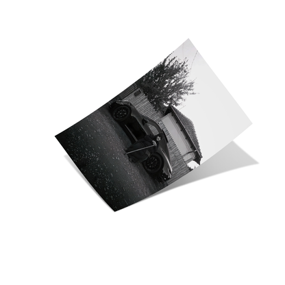 Babushka & Porsche Poster