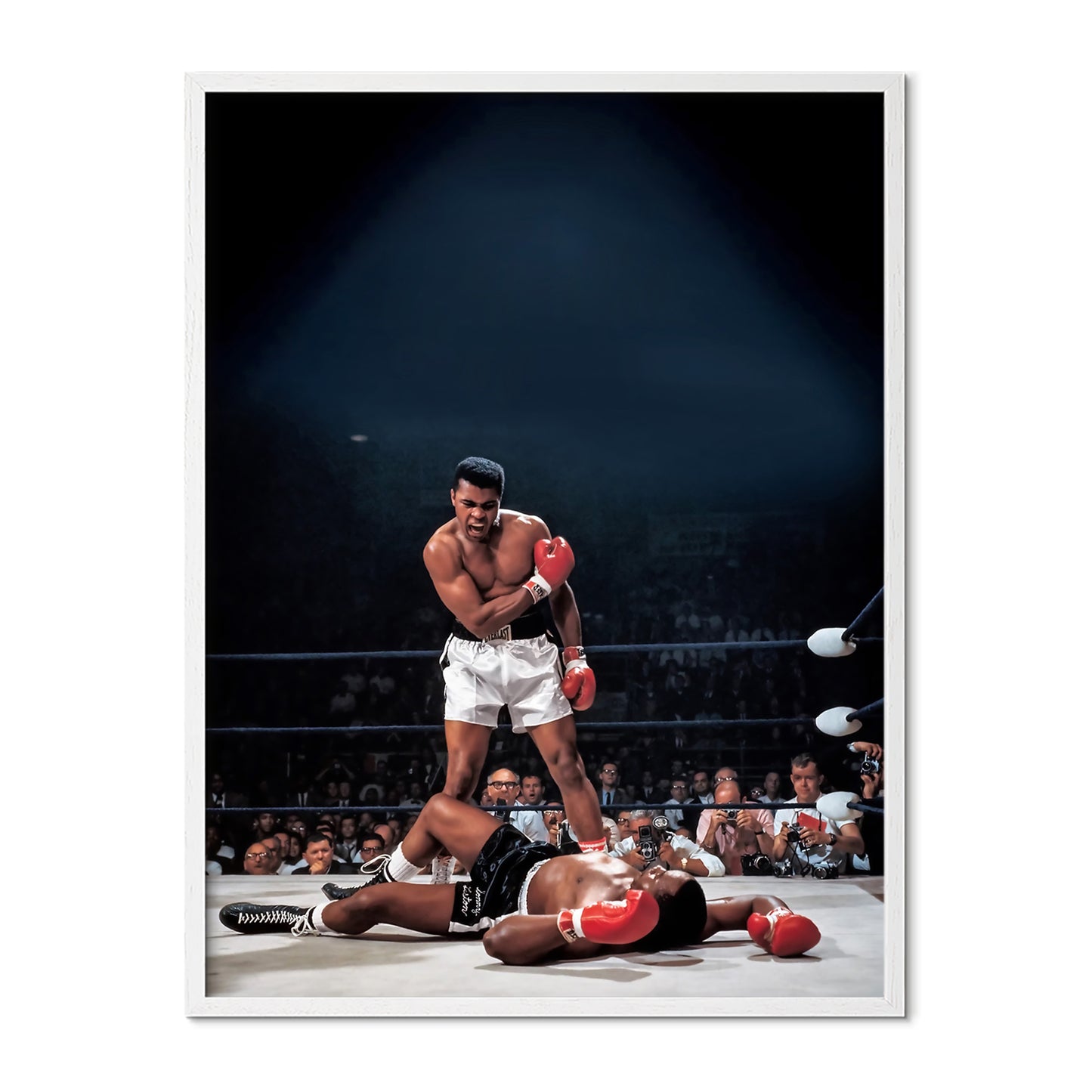 Iconic Boxing Knockout Poster