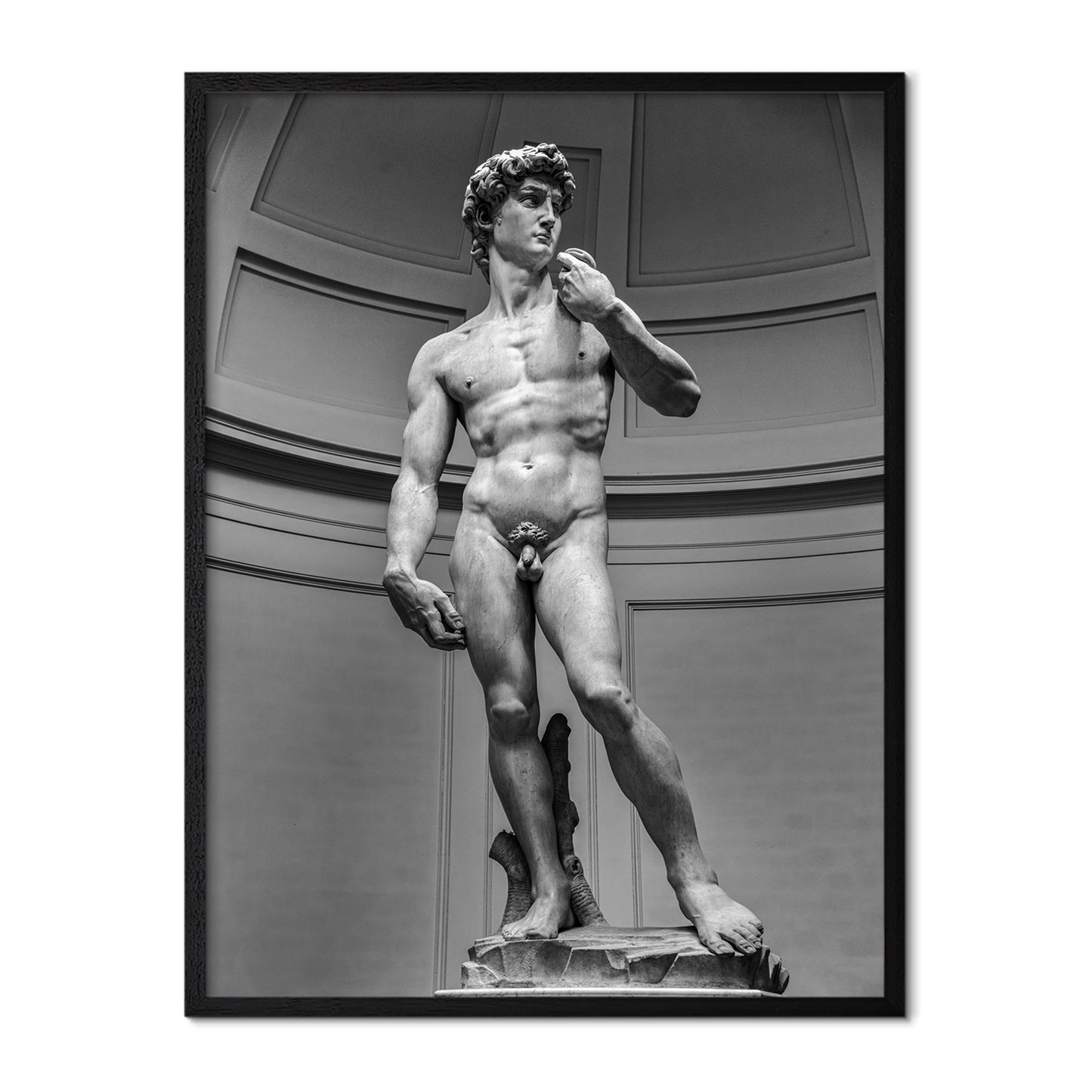 Michelangelo’s - David Poster