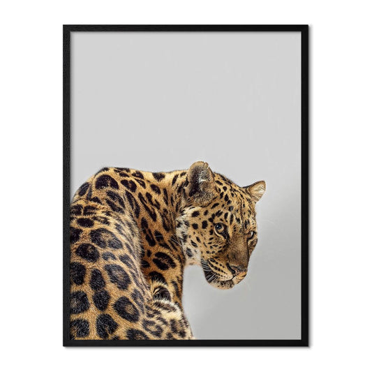 Leopard Poster